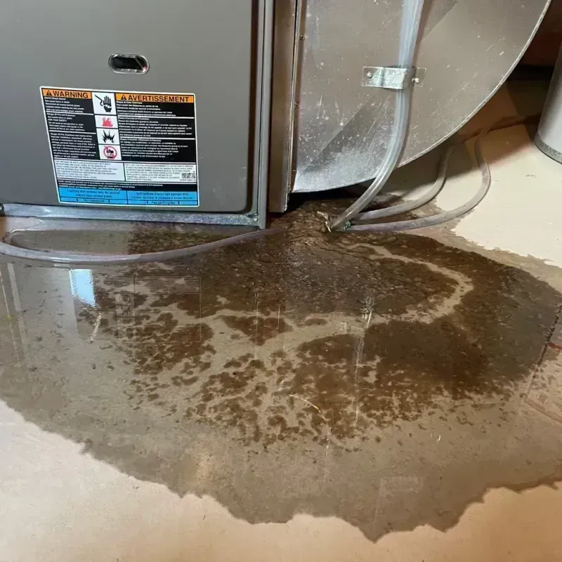 Appliance Leak Cleanup in Dysart, IA